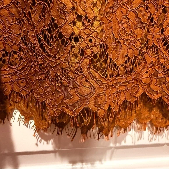 J Crew Copper Brown Lace Blouse - Picture 5 of 10